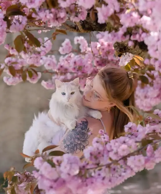 Chloé Hénault et son chat blanc sous un arbre fleuri rose.