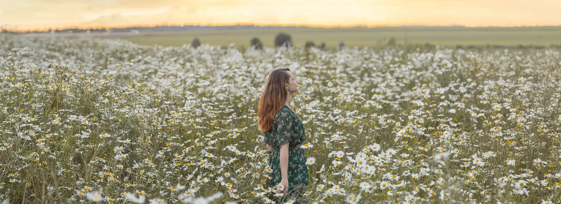 Femme dans un champ de marguerite au coucher du soleil.