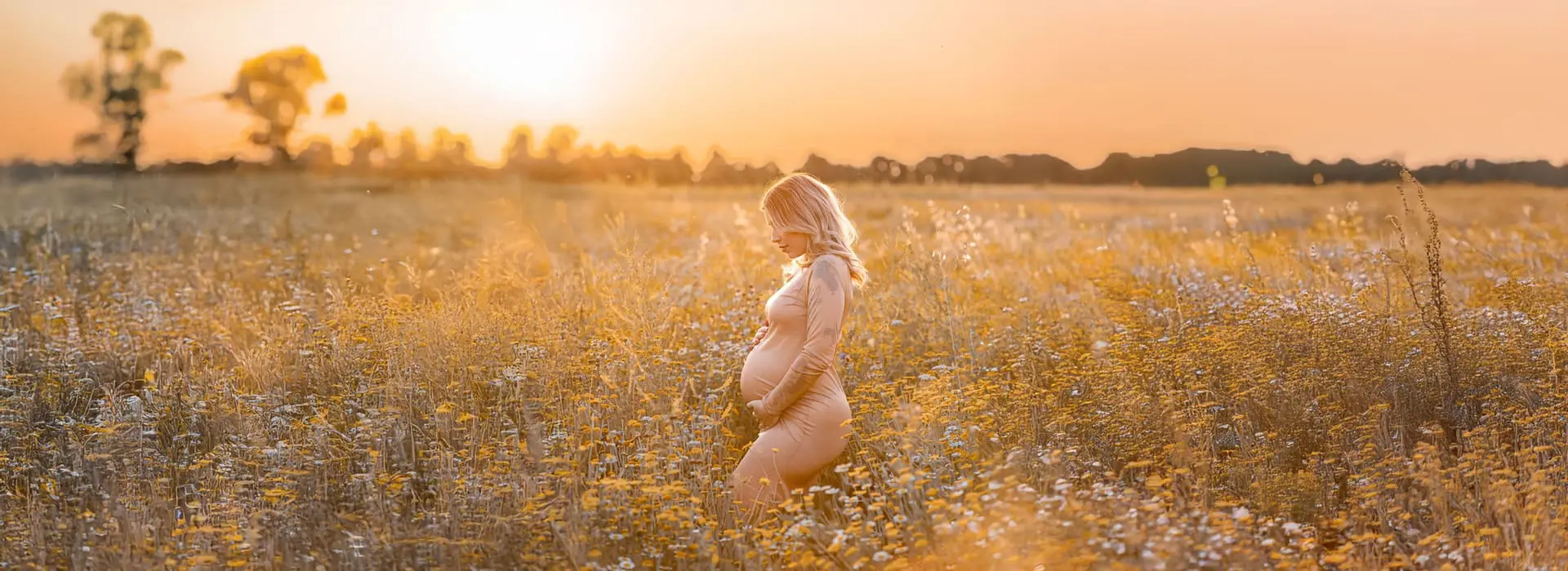 Femme enceinte dans un champ près d'Orléans au coucher du soleil.